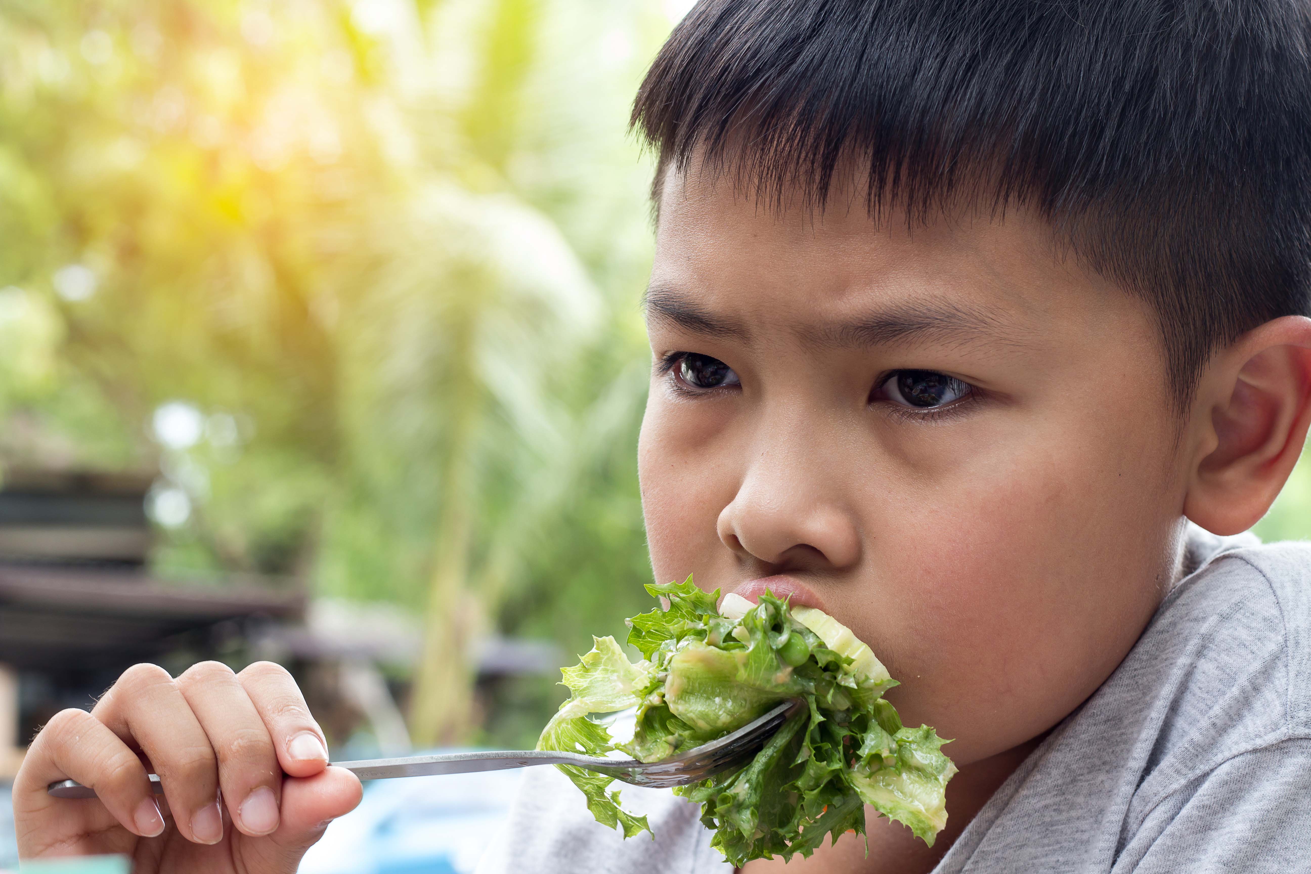 Tips untuk Rangers Parent yang Ranger Kecilnya Susah Makan Sayuran