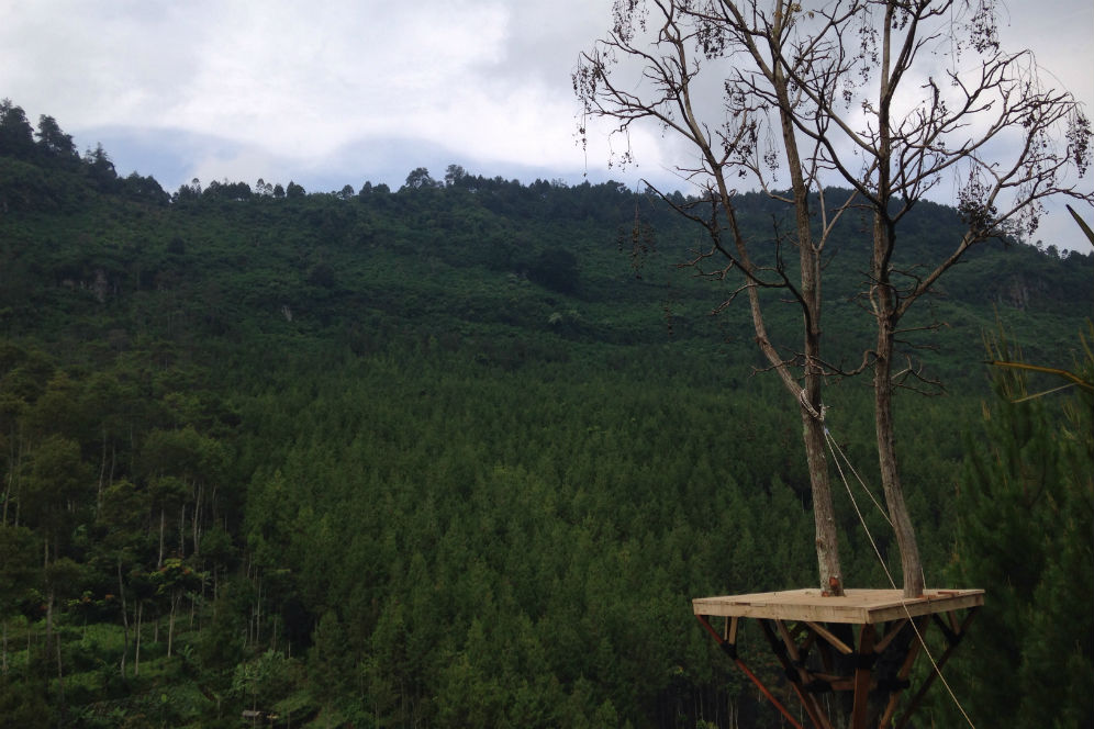 Tumbuhkan Andrenalin Ranger Kecil Dengan Berayun di The Lodge Maribaya